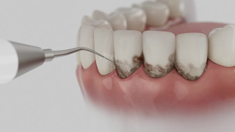Reliable Dental contractor in Forest, VA by Dentist Open Now
